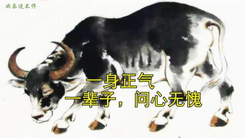 问心无愧的生肖动物是哪一种？