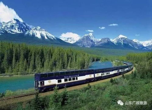 自驾：一场噩梦的开始