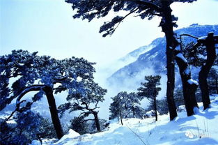 登顶泰山：一场感官与心灵的洗礼