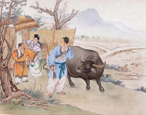 解构传统方式叙事