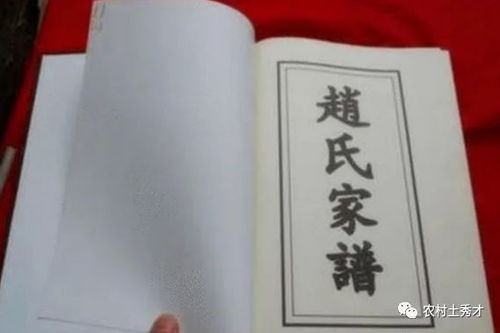 结合现代化文化底蕴趋势