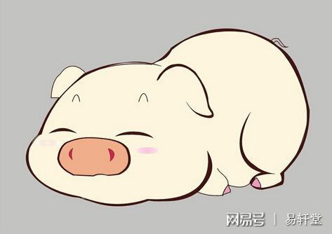 二、 生肖男性群体晚婚倾向之系统解析