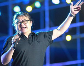 刘欢八字命理详解，如何同过排盘软件准确排八字？