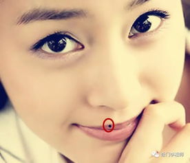 脾胃健康及母亲体质之象征