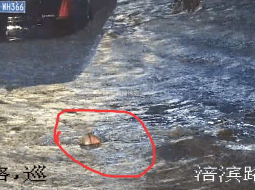 梦见大水突然向我涌来这是不是预示着什么不好的事情即将发生？