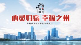 行业洞察：数据背后的定制趋势