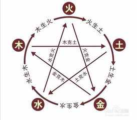 四、现代潮流趋势：打破传统