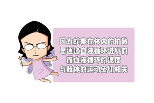 文献回顾