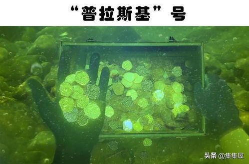 一、 种生基概念之阐释及其理论根源