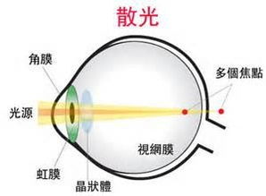 三、人际关系与合作的重要性
