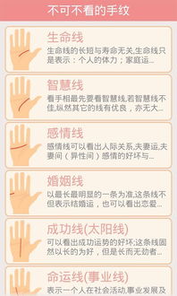 手相大全免费版软件哪里可以下载？