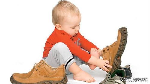 1. 深入了解：从背景到行为模式的全景式审视