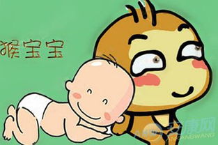 一、  破除传统，拥抱个性：名字不只是符号