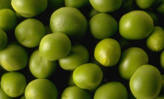 不同人群の蚕豆噩梦