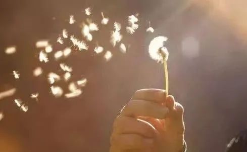 03. 风水布局：如何利用风水助力自我挑战