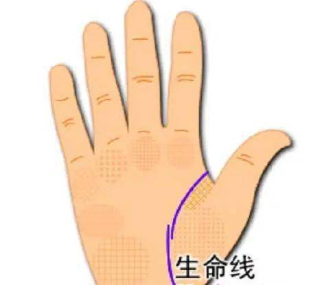 5. 由点点较小线连接而成