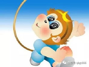 哪些生肖在每次考试中总是容易丢三落四呢？