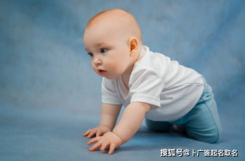 起名的那一些事儿…乱七八糟的