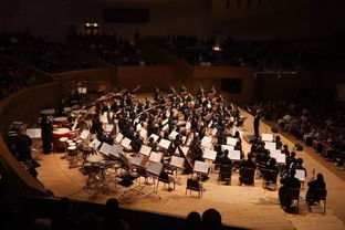 五、 音乐舞蹈——传承与创新并存的双重路径