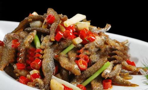 生肖马：激情澎湃， 勇往直前再创辉煌