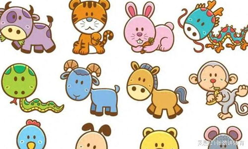 87年属兔，86年属什么生肖？