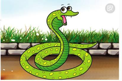 将各行其道打一生肖，难道不是属蛇吗？