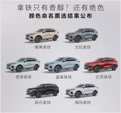 纪姓名字较大全库