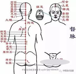 第二部分：基于中医理论的养生禁忌与注意事项