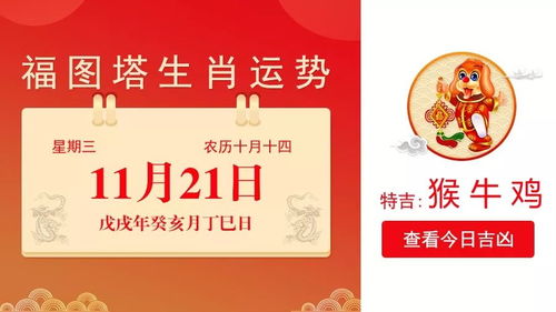 2025年11月21日今日特吉生肖小运播报 11月21日吉日
