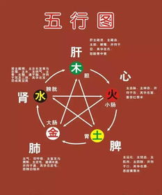 阴阳五行理论在八字中的具体体现