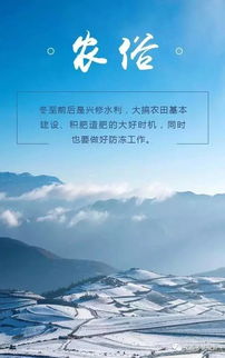 #2 冬至数九期间最适合改名的黄金时间段段（乱序版）
