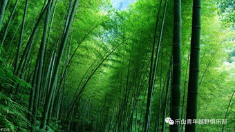 避暑？别再往空调房钻了！这里自带“天然降温系统”