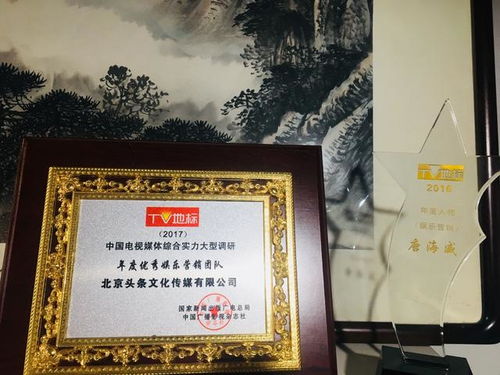 借用成语/诗句: 从经典中汲取灵感 (稳妥之选)