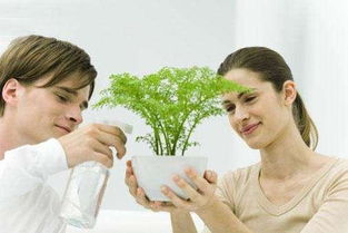 （一） 婚姻宫逢冲的危机