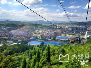 2. 索道上的白影