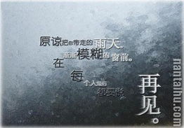 2.2 环境调整与情感修复