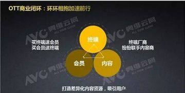 2. 现代科技与传统相学的融合