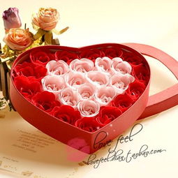 公主生肖代表什么？生肖蛇生日礼物送给女孩有何寓意？