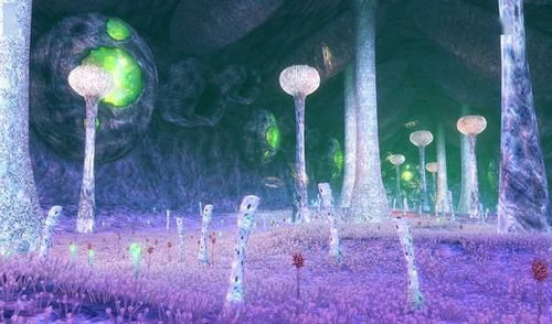 周边环境异变：空间范围结构的扭曲与视觉错觉