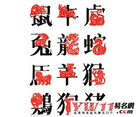 2005年出生的人属什么生肖？十二生肖年龄表格如何解释？