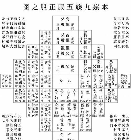 一、 七杀星所指代的人事物概述