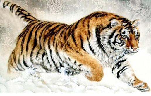 2026年出生属虎宝宝的性格特点及各月份吉凶分别是什么？