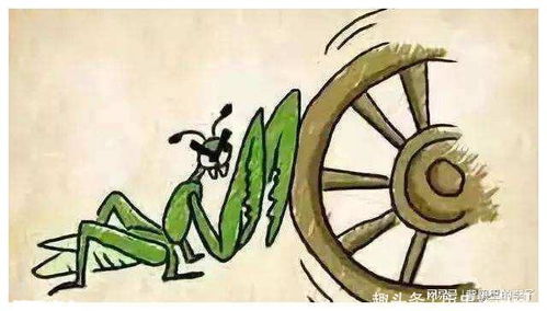 奔车朽索打一生肖，是哪个生肖为？