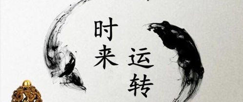 八字中食伤星旺盛，财星得力，如何判断其判断力强，财喜食伤的含义是什么？