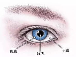 通过观察身体语言判断情感状态的方法概述