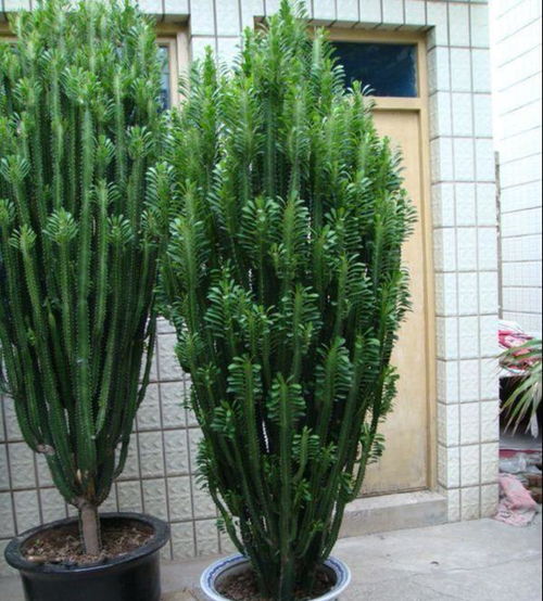 一、  品行与风水的内在关联：德行修养对运势的影响