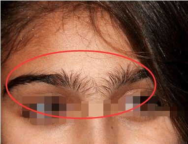 男士面相中哪些特征预示着旺夫财运好的女人？