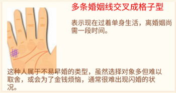 二、 从纹理特征细分对婚姻关系走向的综合评估