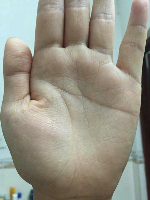 ：断掌纹在传统相学中的定位与研究意义