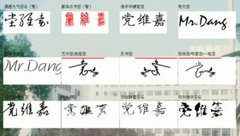 嘉宸在百家姓中的应用实例